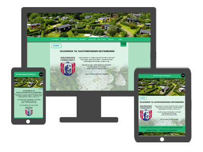 Web Design
